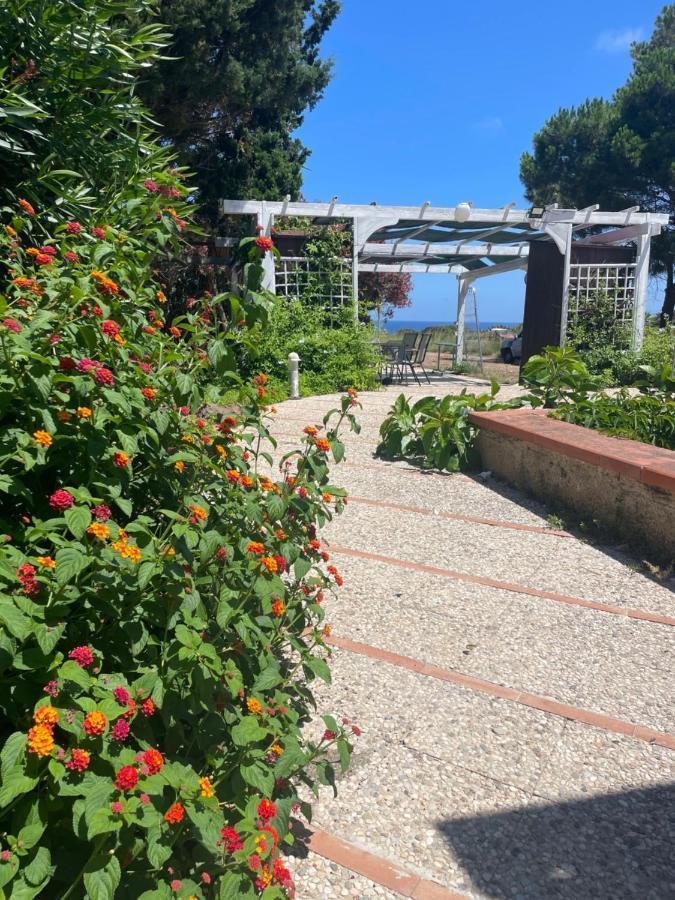 Villa Paso Isola di Ustica المظهر الخارجي الصورة